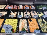 salades